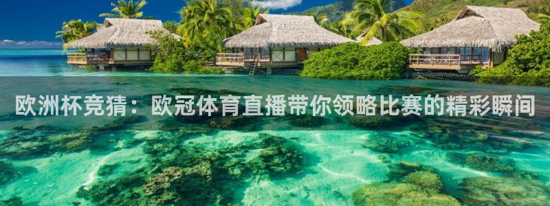玩球直播网页版