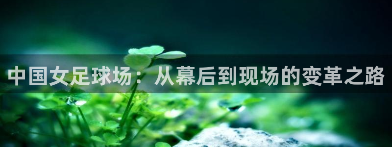 玩球直播在线观看