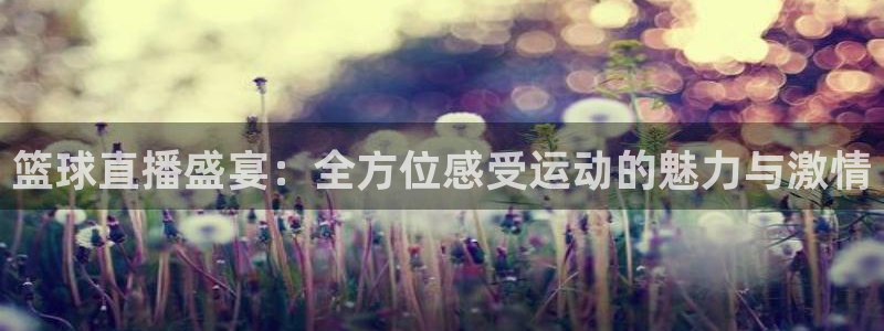 玩球直播app最新版