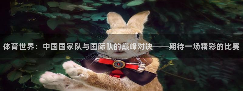 玩球直播官网入口登录