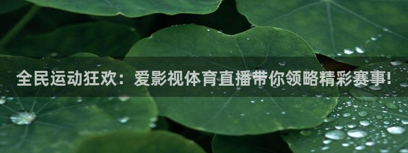 玩球直播官网