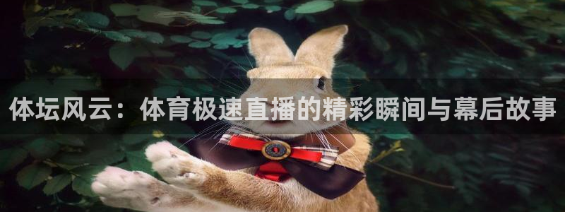 玩球直播app免费下载