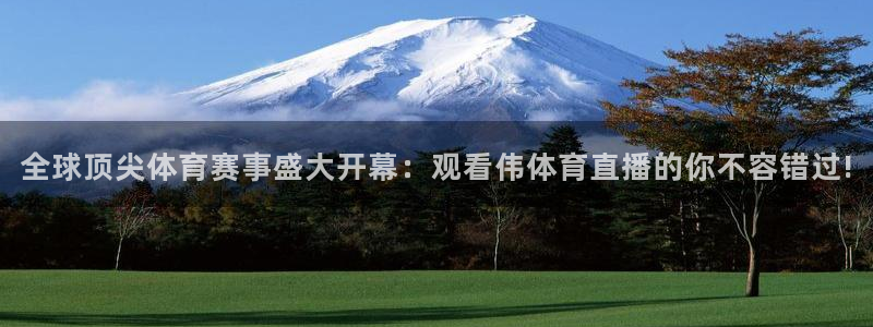 wqzb玩球直播官网登录