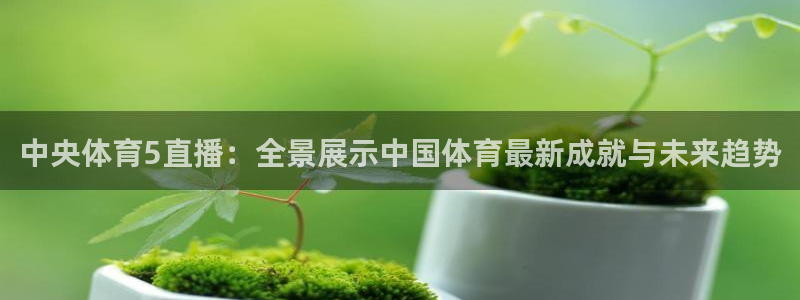 玩球直播app