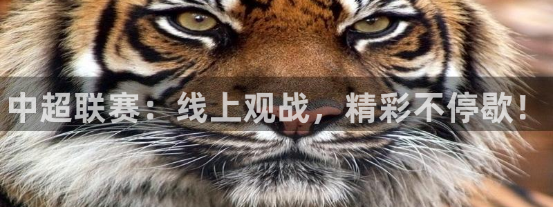 玩球直播app官网版