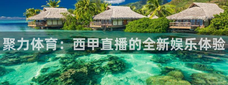 玩球直播世界杯