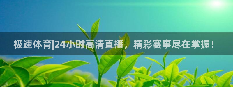 玩球直播app下载安装