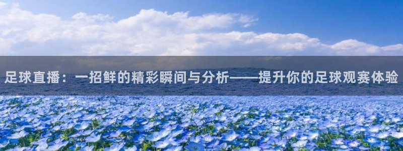 玩球直播网页版