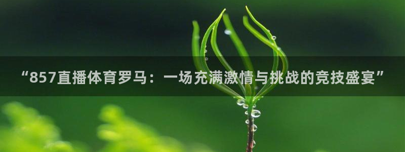玩球直播app最新版本下载