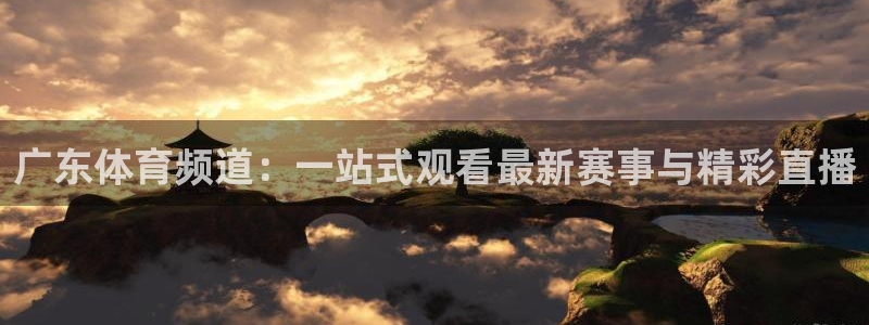 玩球直播足球直播